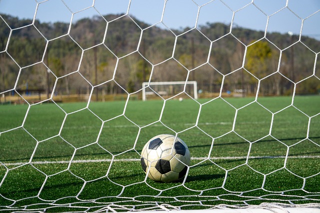 [冰雪]黑龙江四队获得混双冠军.