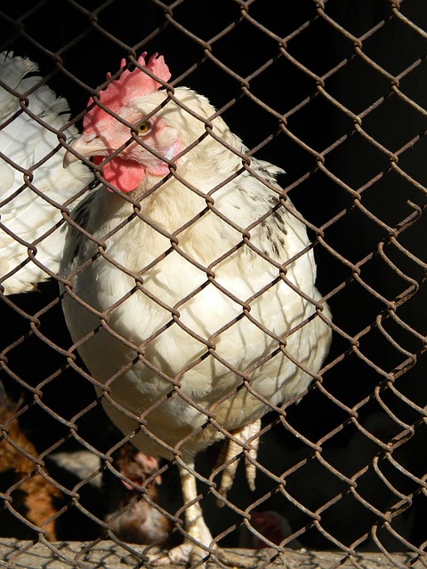 中国已采取 中国已采取