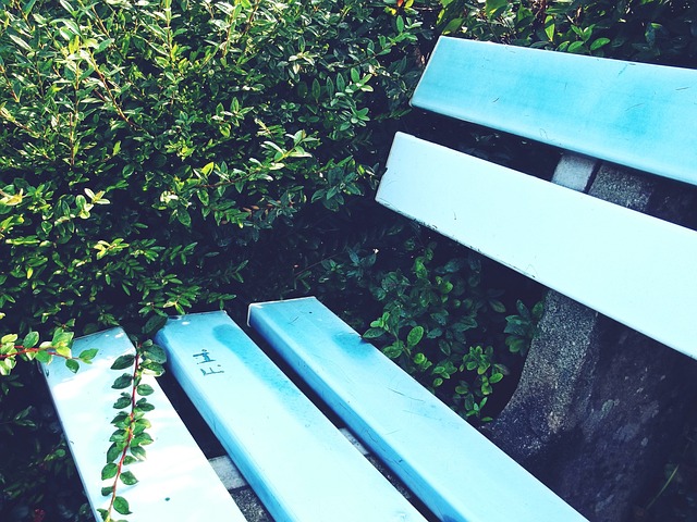 伦纳德和保 伦纳德和保